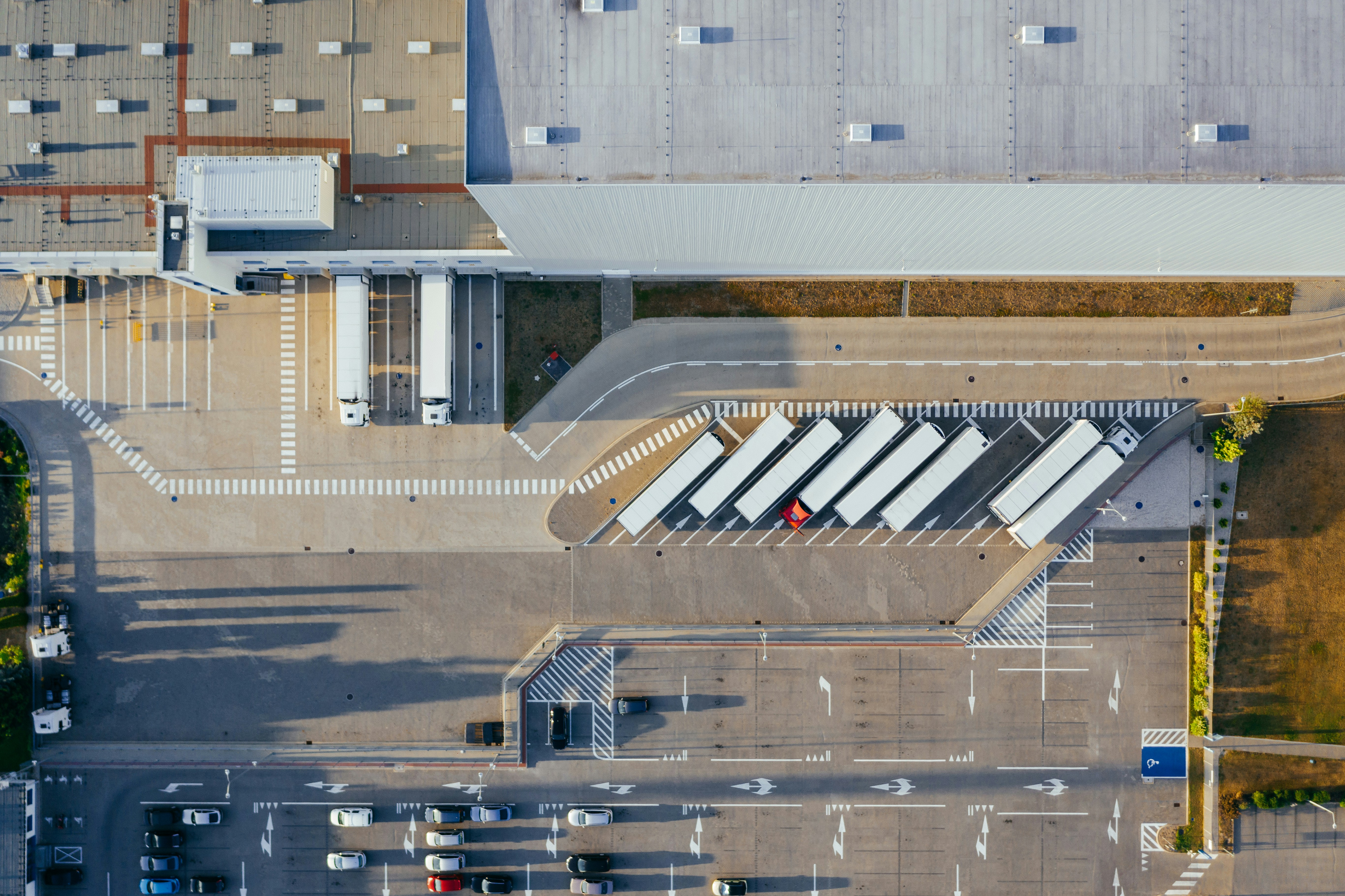 Supply Chain Consulting